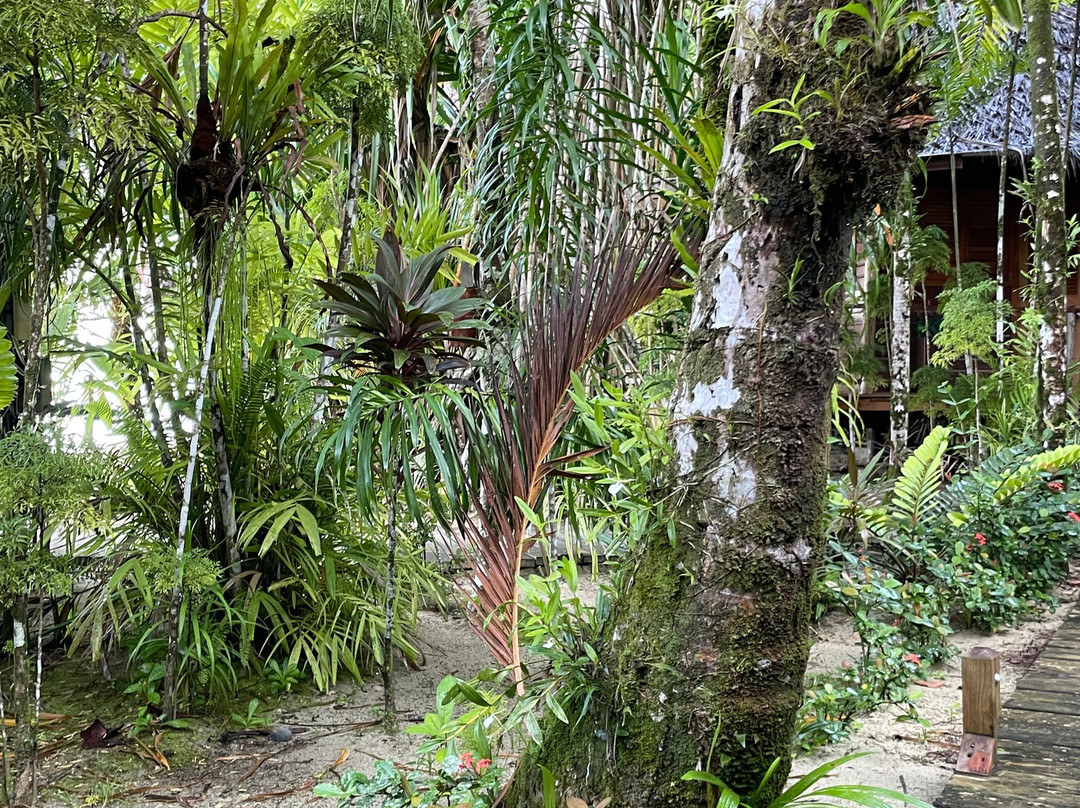 卡约科生态冒险小屋主图