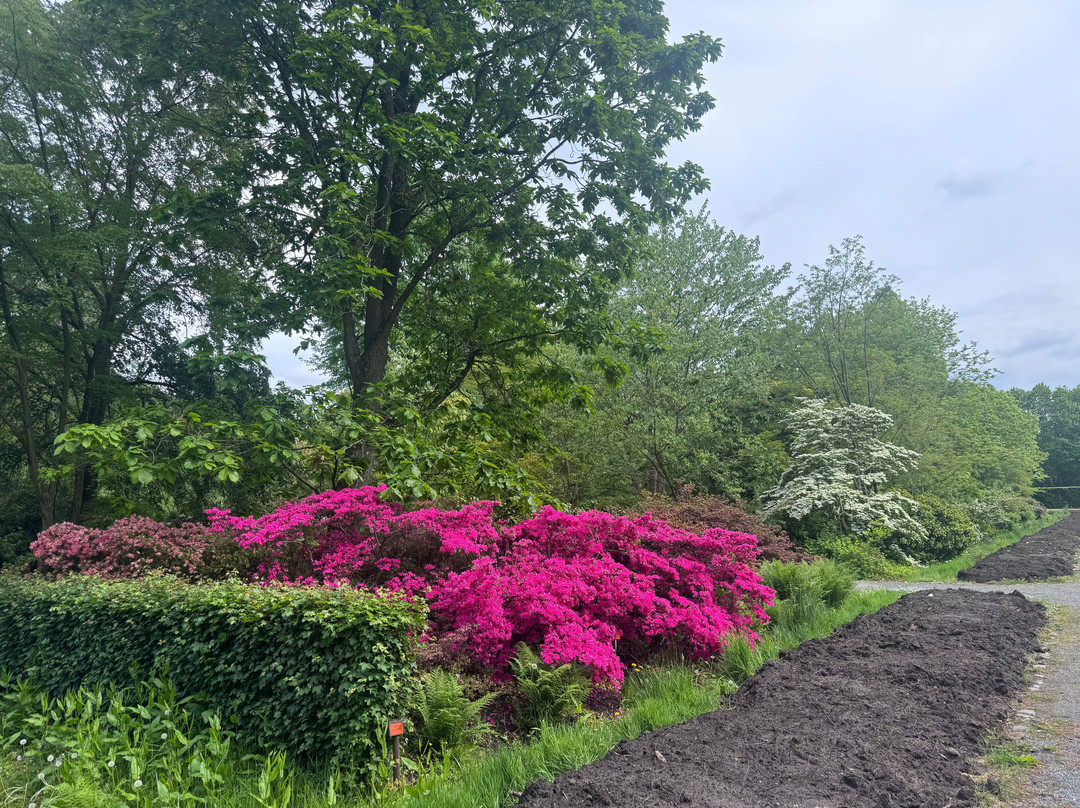 Botanical Garden Arboretum Oudenbosch-Oudenbosch必去景点