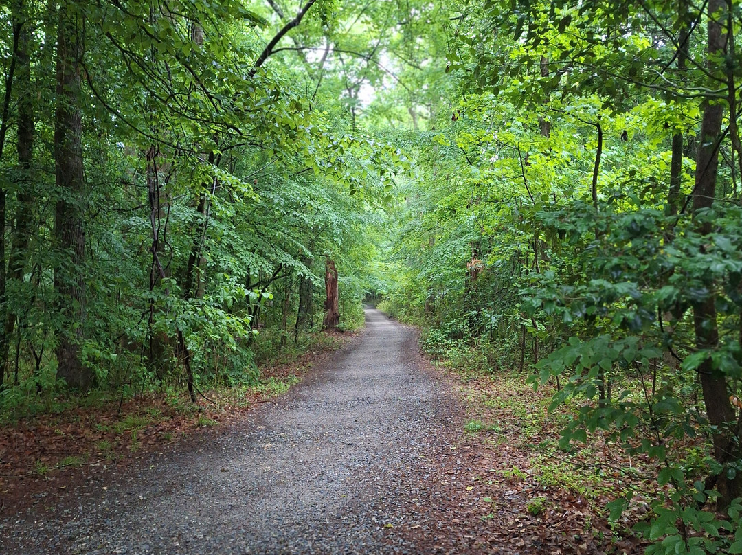 Congaree National Park-Hopkins必去景点