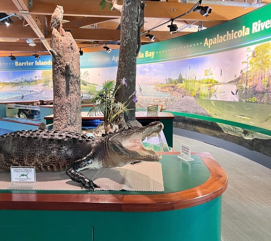 Apalachicola National Estuarine Research Reserve-Eastpoint必去景点