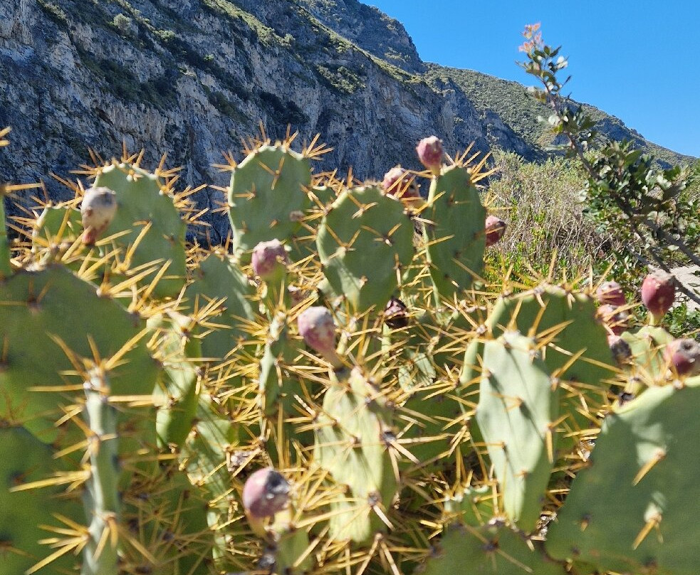 Riserva Naturale Orientata Laghetti di Marinello-Marinello必去景点