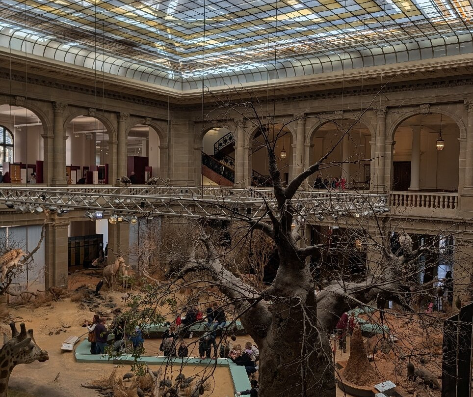 Museum Koenig-波恩必去景点