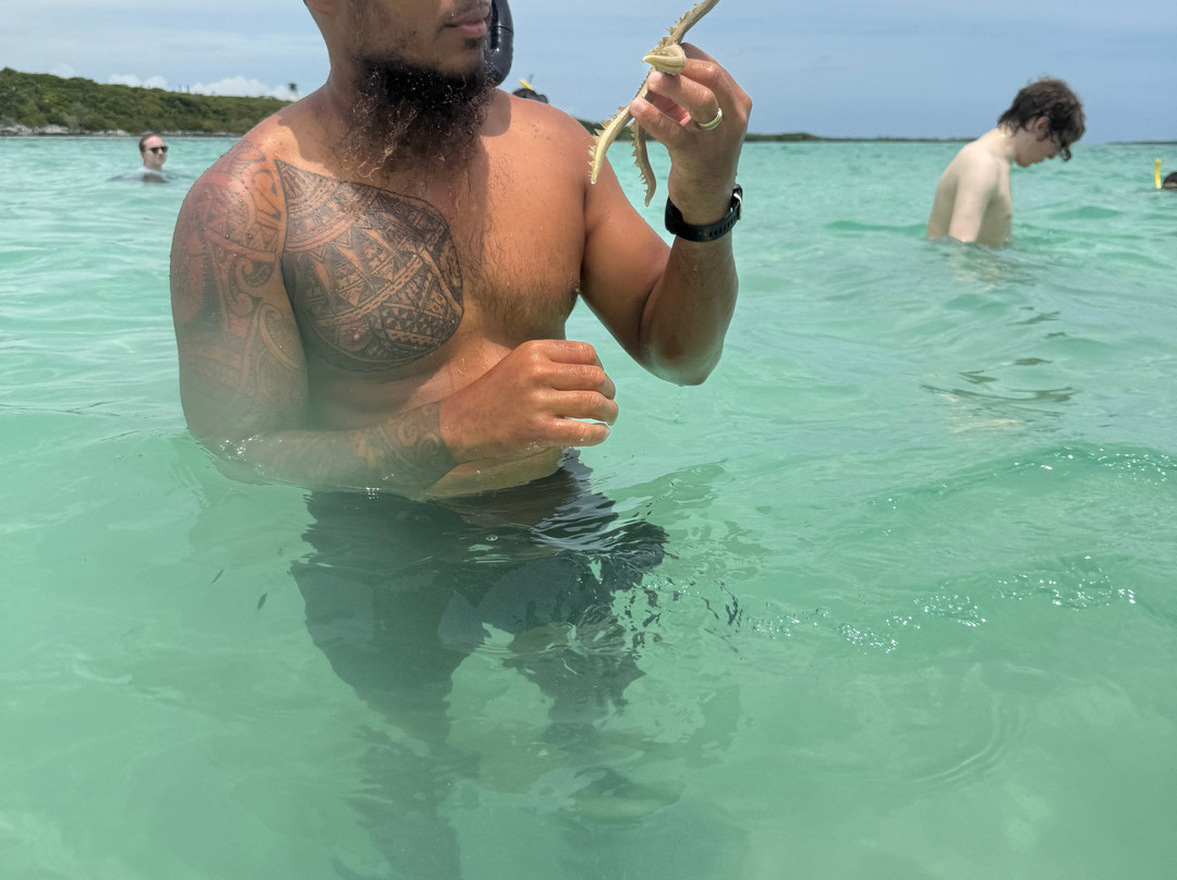 Coco Cay-Berry Islands必去景点