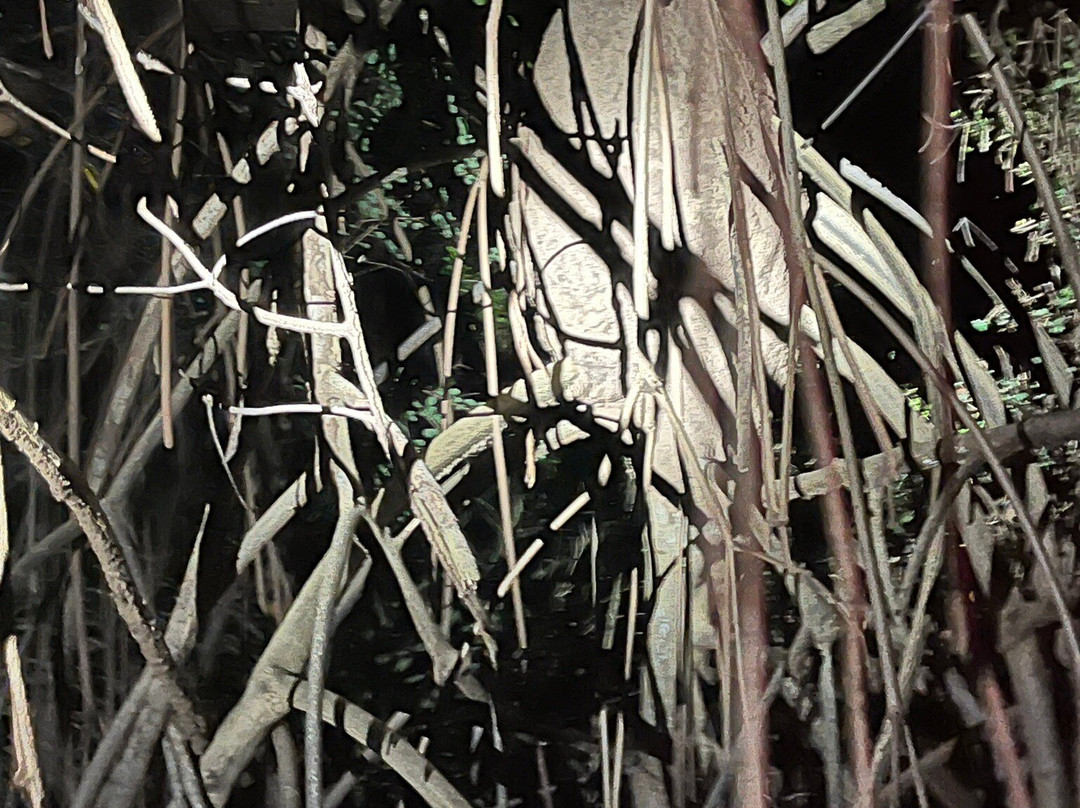 BioIsland-Cabezas必去景点