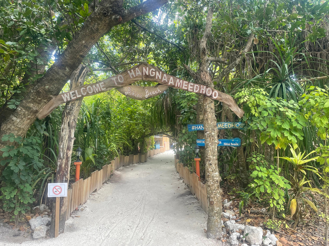 Local Travel Beach主图