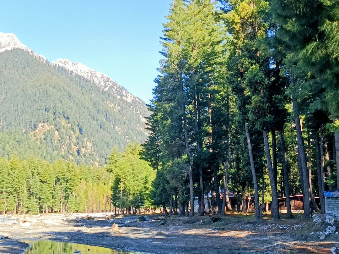 Cedar Huts