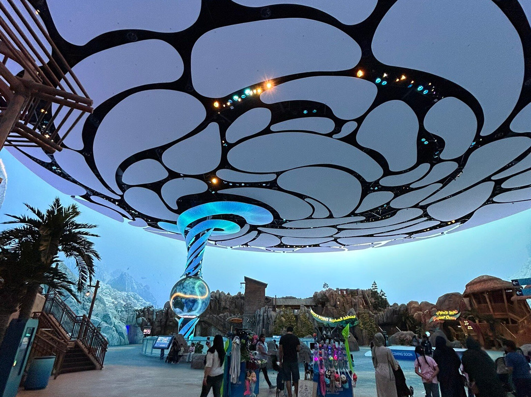 SeaWorld Yas Island Abu Dhabi-阿布扎比必去景点