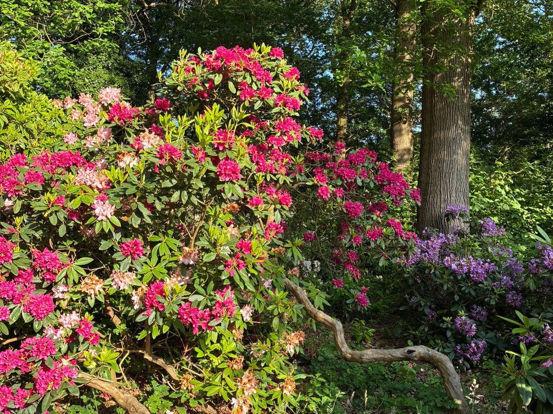 Belmonte Arboretum Wageningen-瓦赫宁恩必去景点