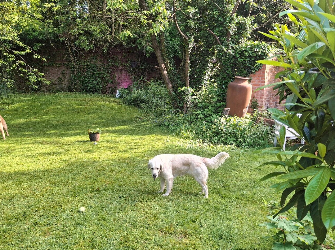 Ravenscroft B&B主图