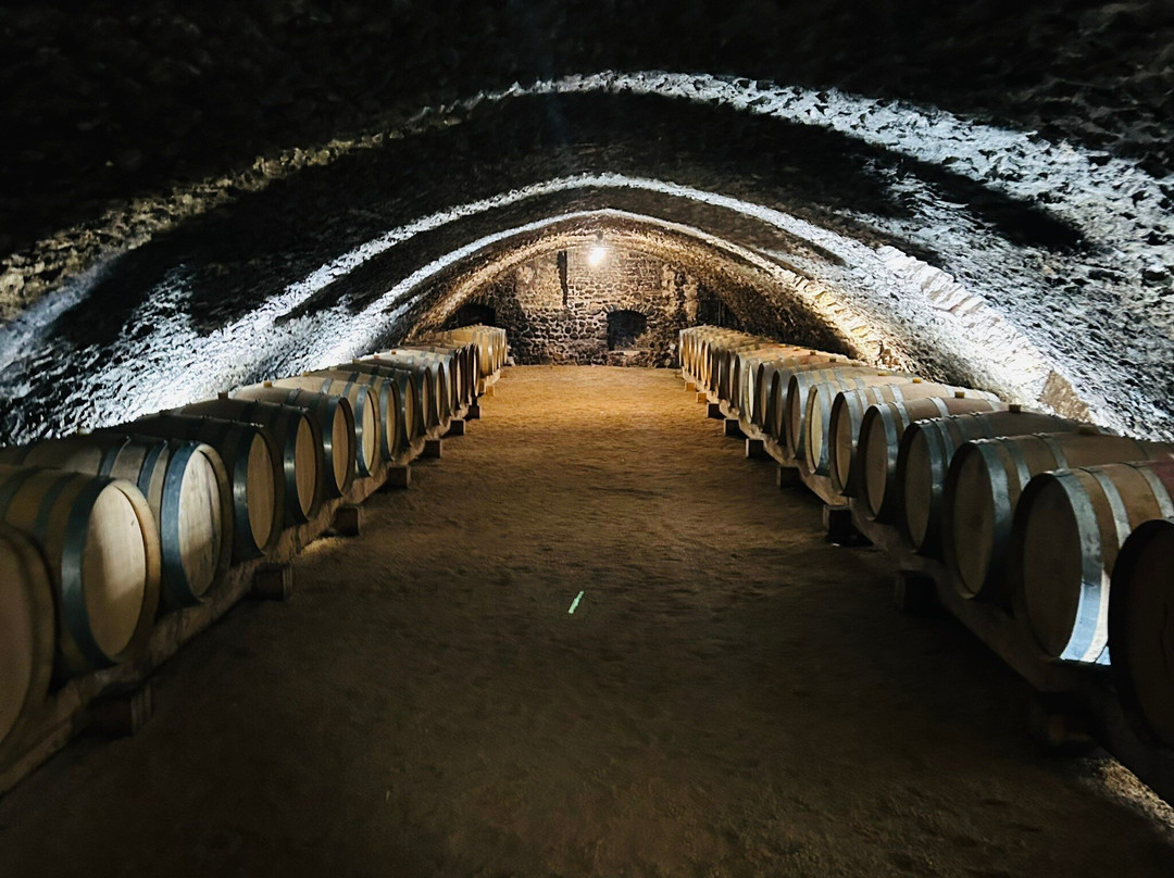 CHATEAU DES RAVATYS-Saint-Lager必去景点