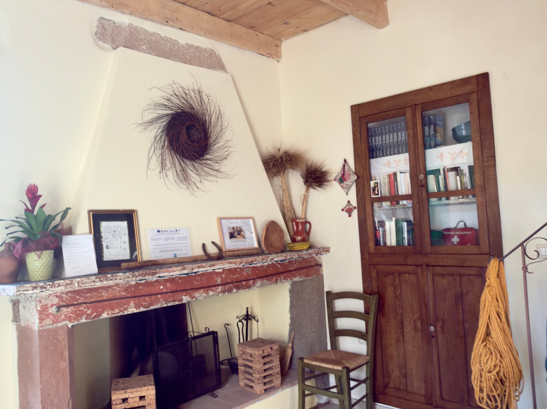Andala Agriturismo Esperienziale