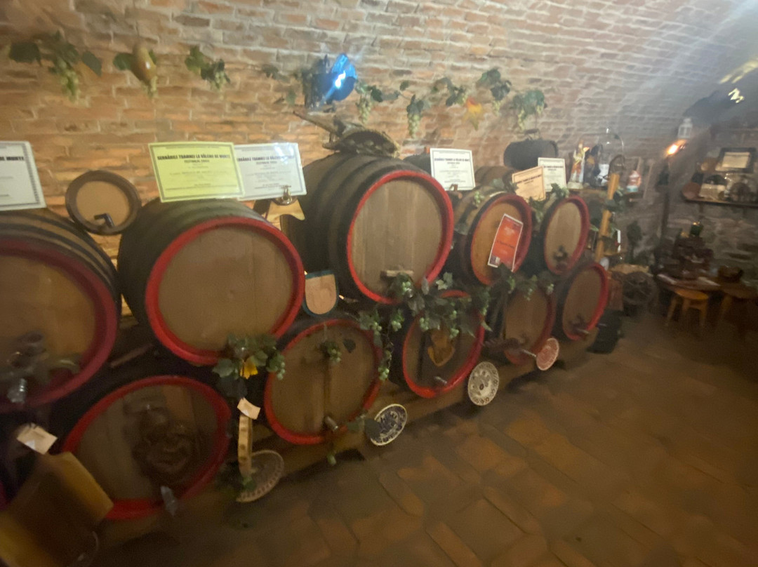 Pivnita lui Teo - Teo's Cellar-锡吉索拉必去景点