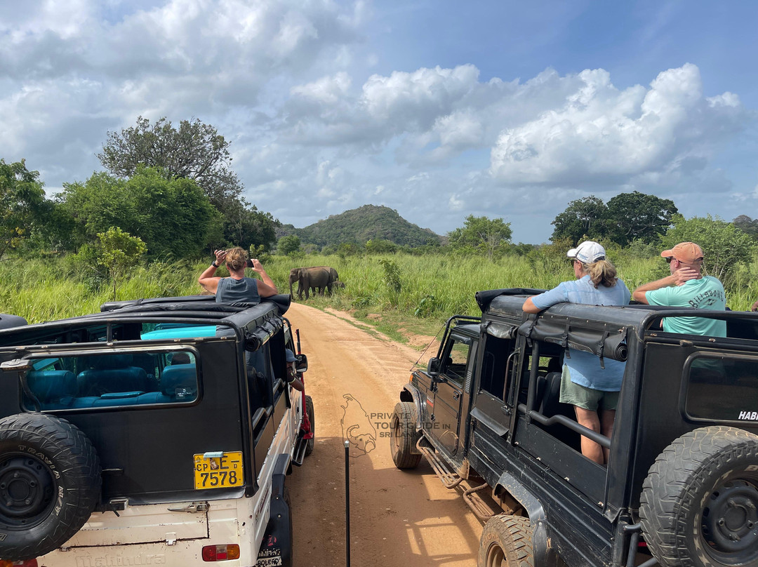 Private Tour Guide in Sri Lanka-科伦坡必去景点