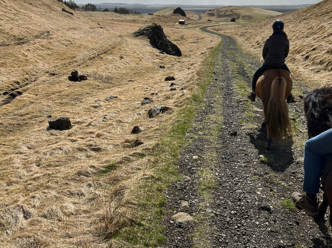 Riding Tours South Iceland-Fludir必去景点