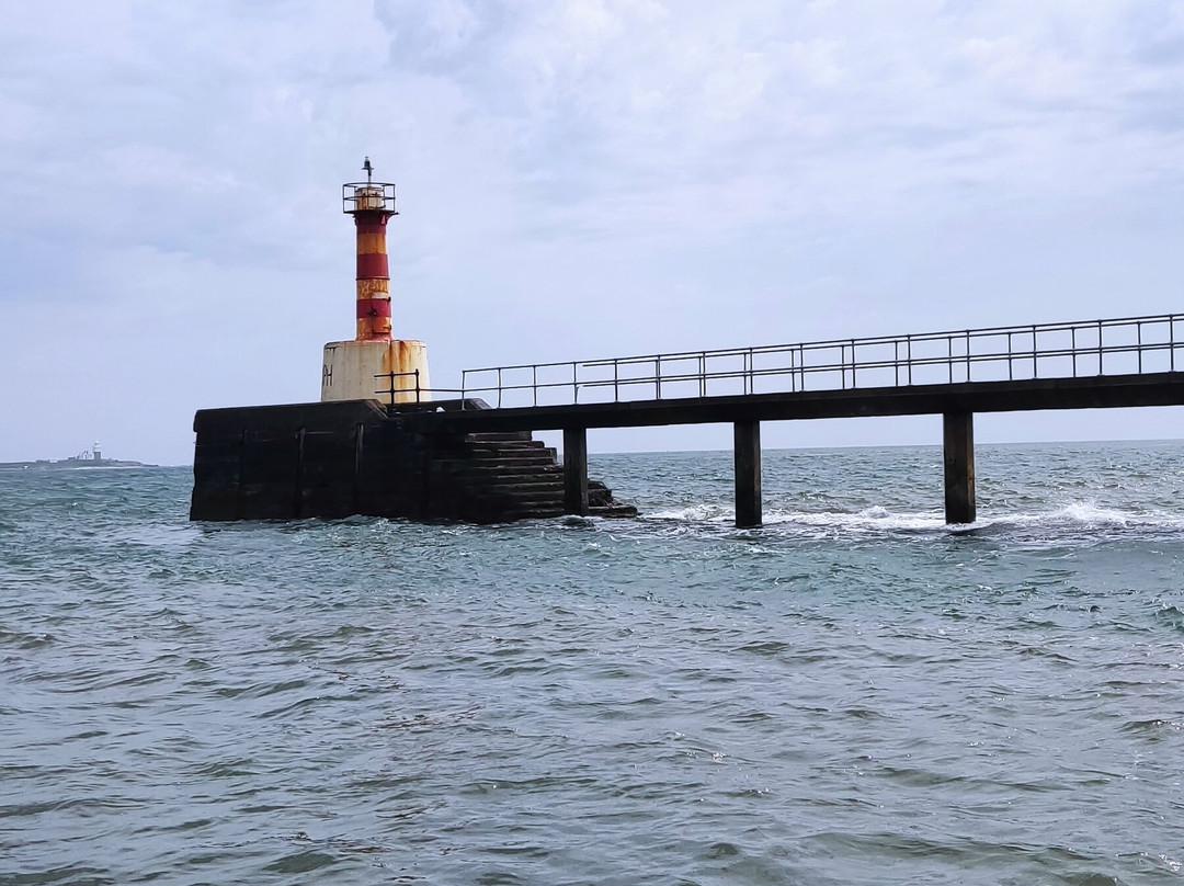 Amble boat trips-Amble必去景点
