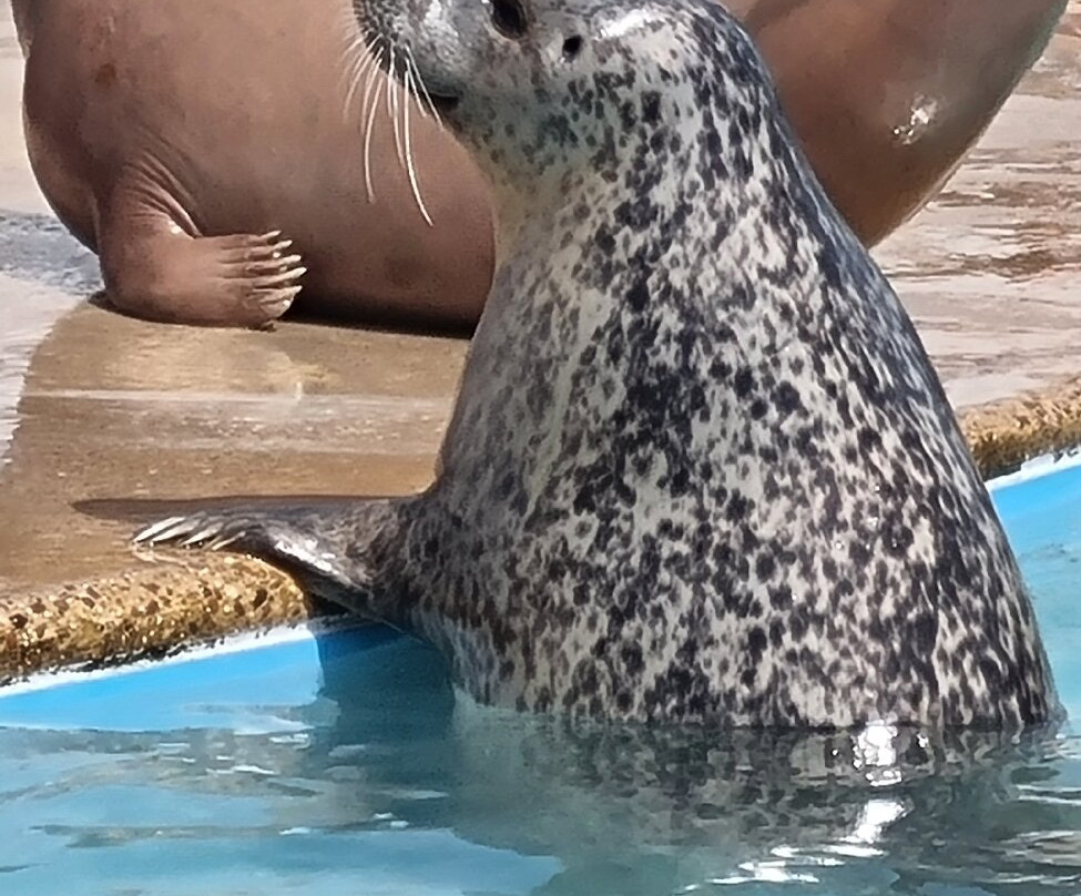 Natureland Seal Sanctuary-斯凯格内斯必去景点