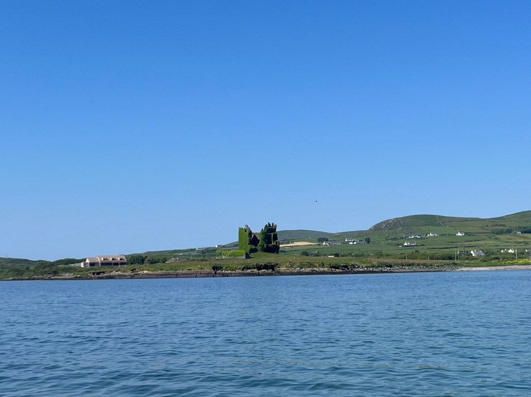 Sea Synergy Marine Awareness and Activity Centre-Cahersiveen必去景点