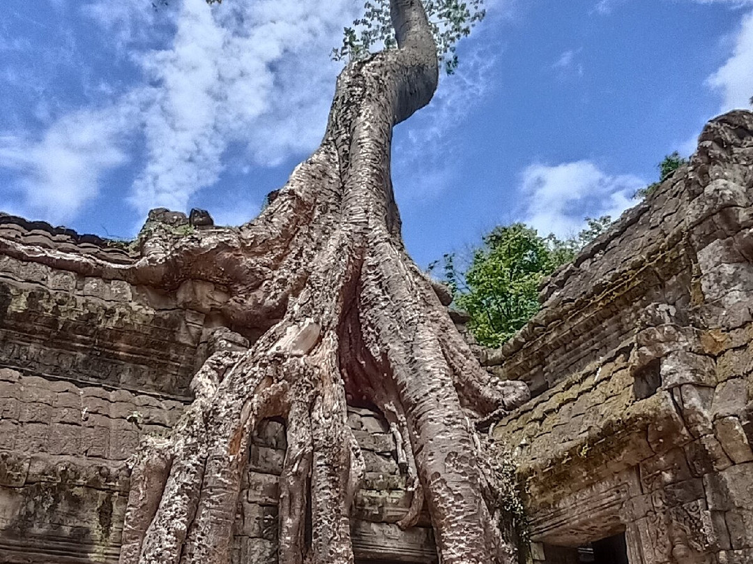 Angkor en Espanol-暹粒必去景点