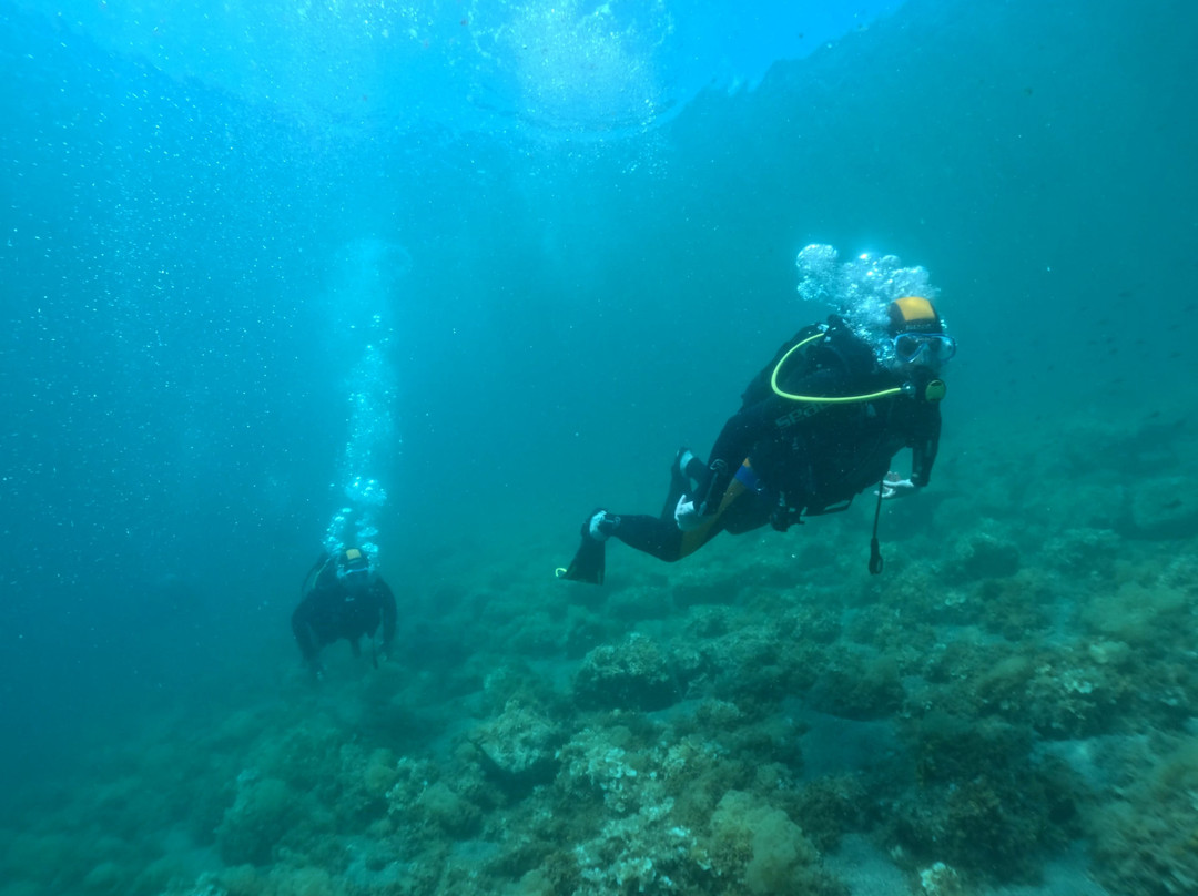 Argonauta Diving Resort-Rovies必去景点