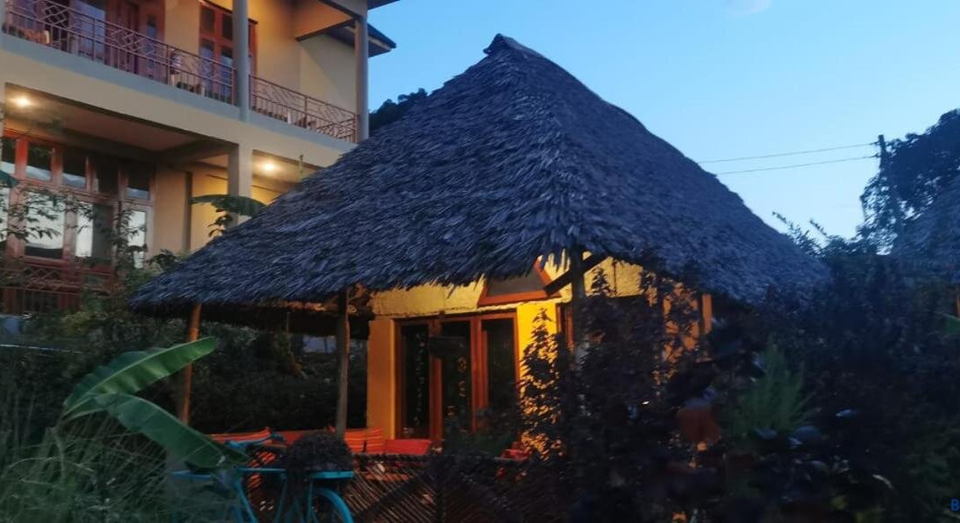 Camp Kimanganu Safari Lodge