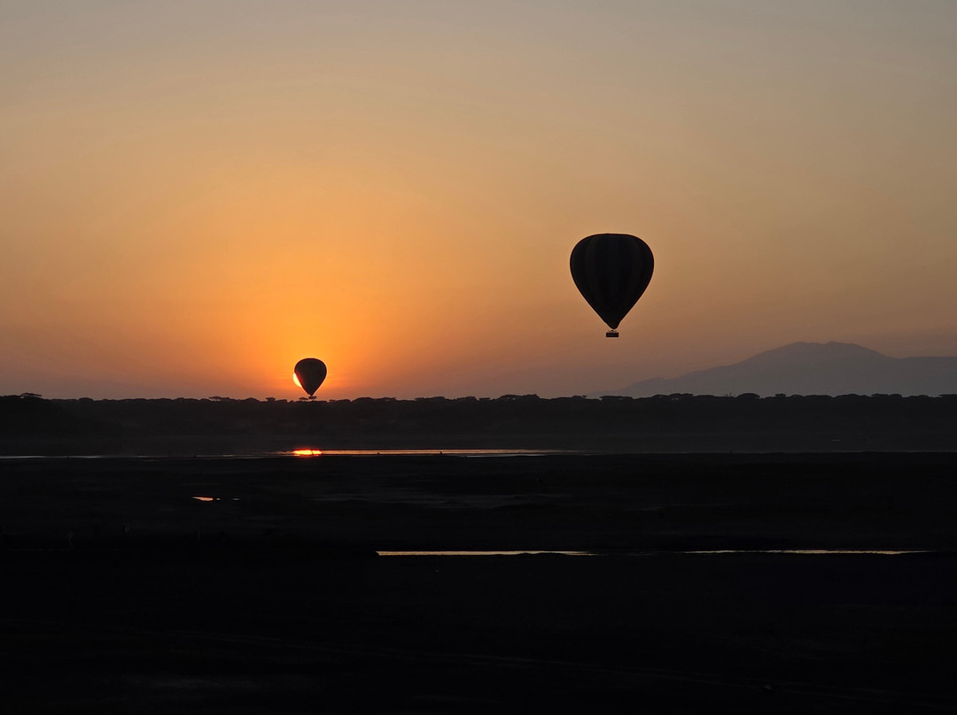 Africa Mollel Safaris-阿鲁沙必去景点