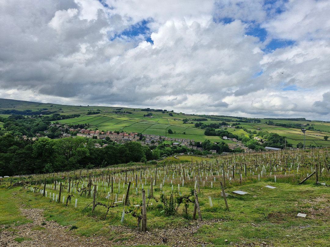 Holmfirth Vineyard-Holmfirth必去景点