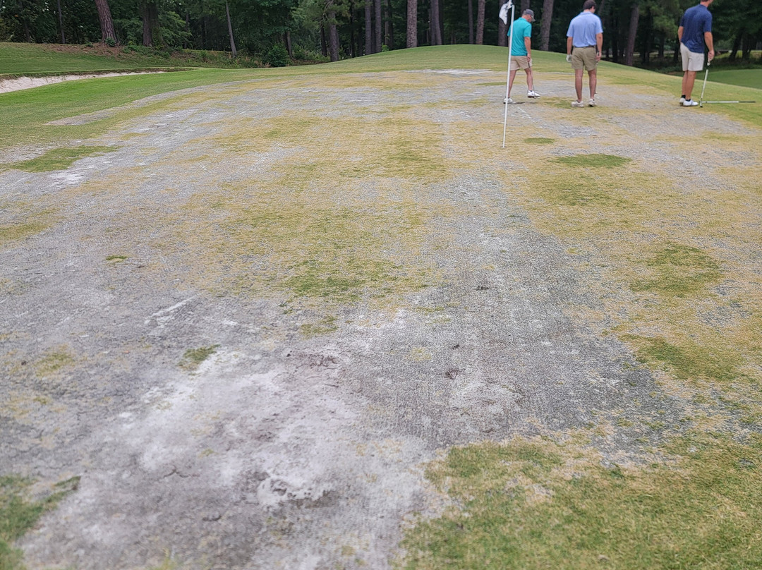 Callaway Resort & Gardens Golf-Pine Mountain必去景点