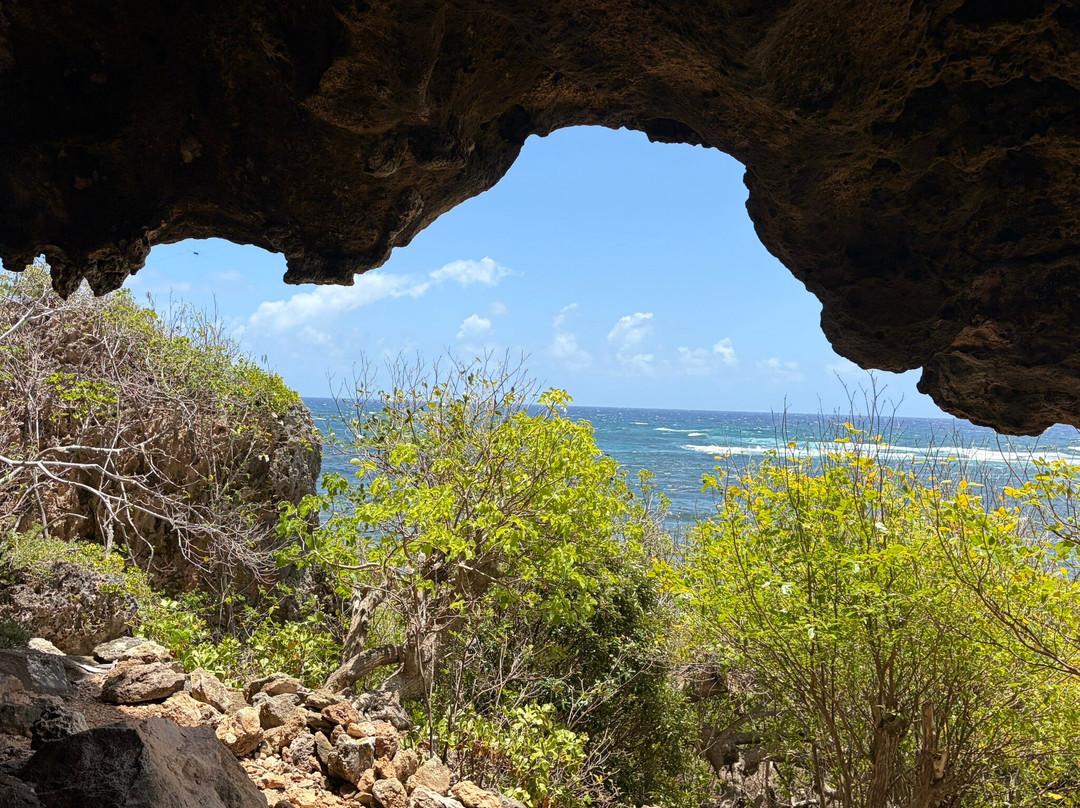 Barbuda Leisure Day Tours-巴布达必去景点