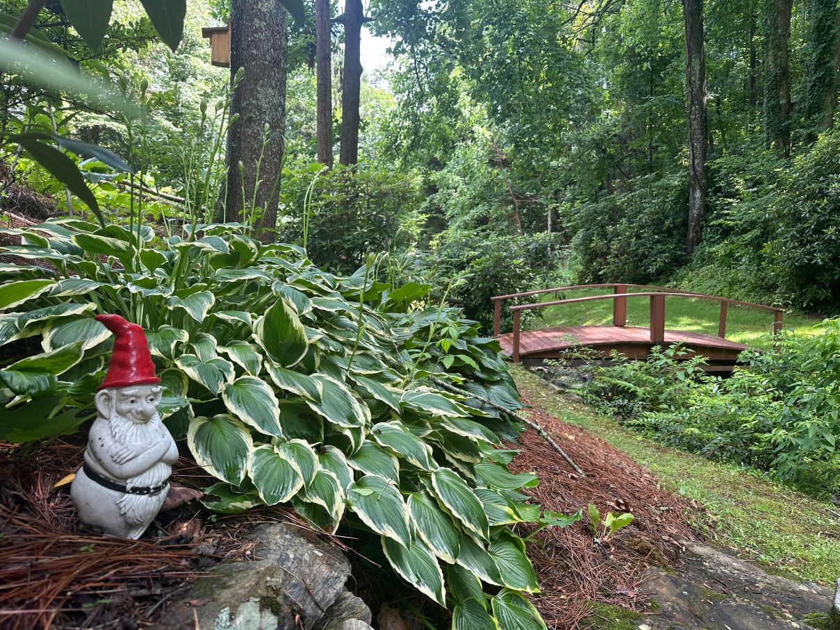 普拉特溪路上黄色小屋酒店-旅行者
