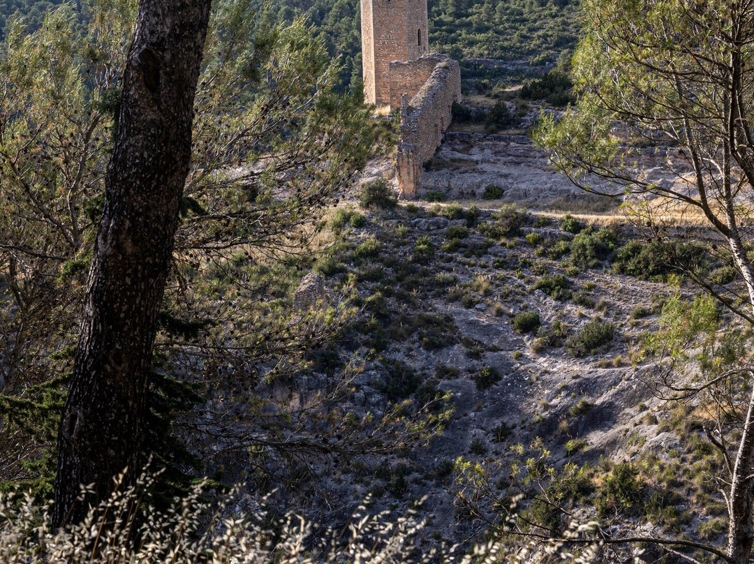 Torre de Armas o del Campo-阿拉尔孔必去景点