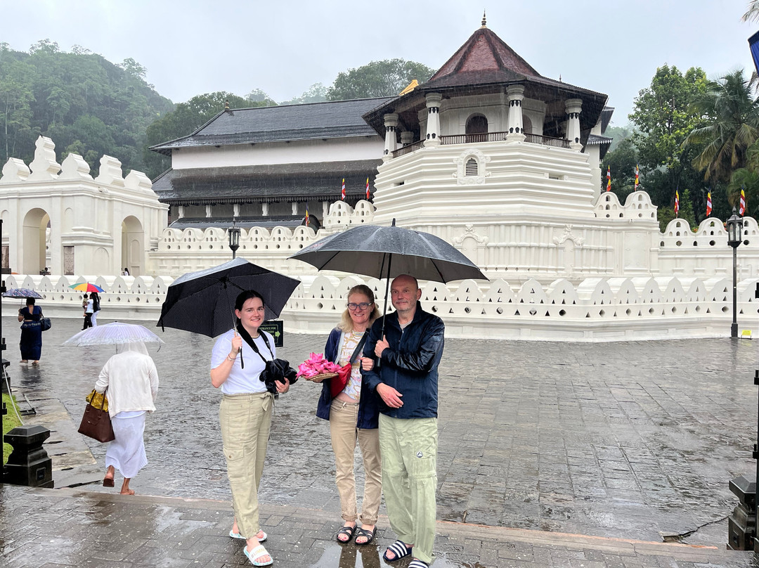 Serene Sri Lanka Tours