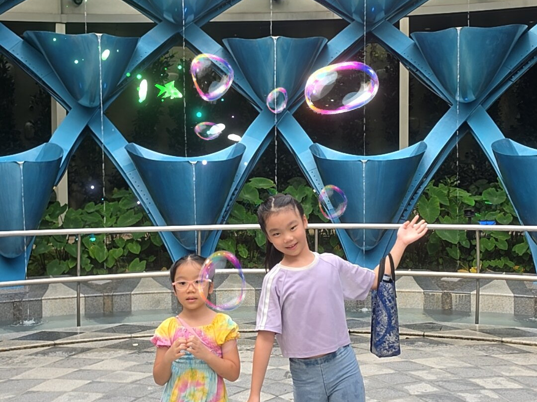 Sentosa SensoryScape-新加坡必去景点
