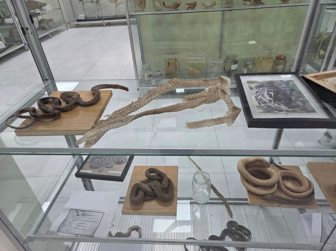 Jordanian Natural History Museum-Irbid必去景点
