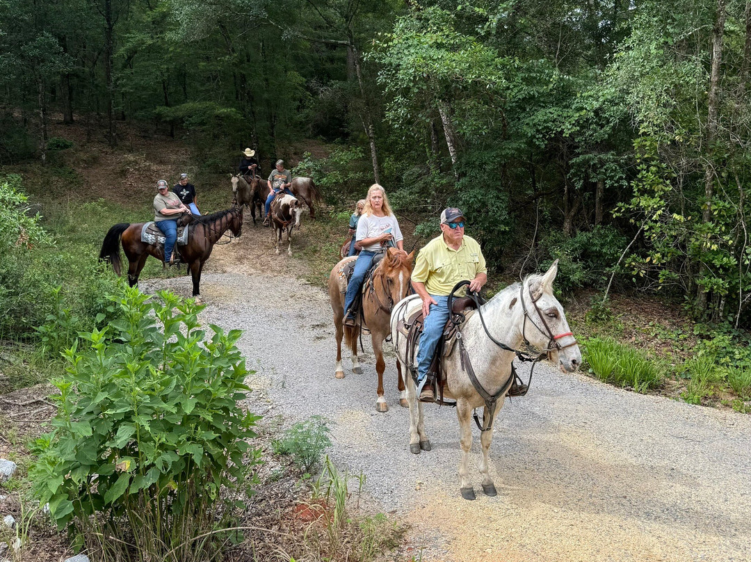 Historic Blakeley State Park-Spanish Fort必去景点