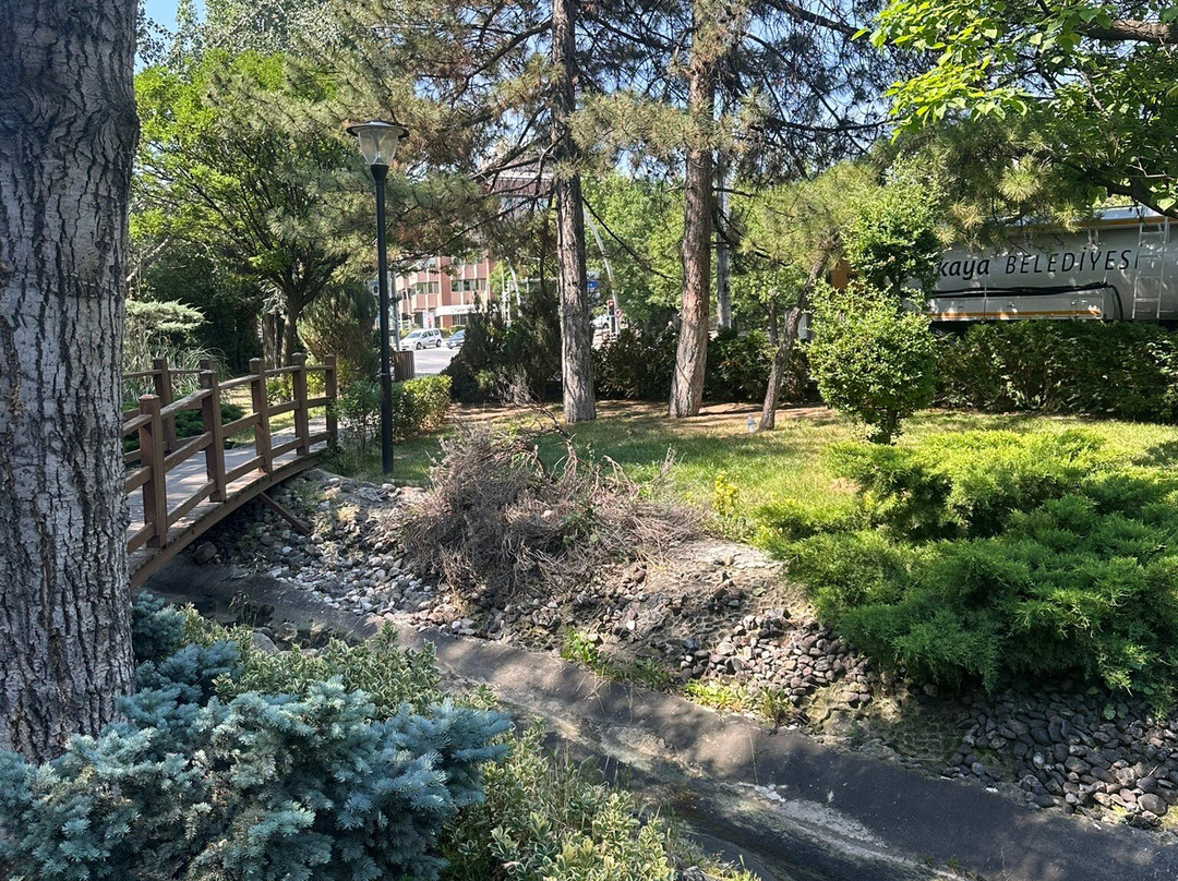 Kuğulu Park-安卡拉必去景点