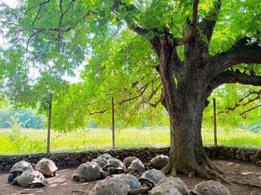 Francois Leguat Reserve-罗德里格斯岛必去景点