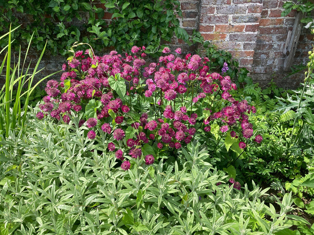 Helmsley Walled Garden-赫尔姆斯利必去景点