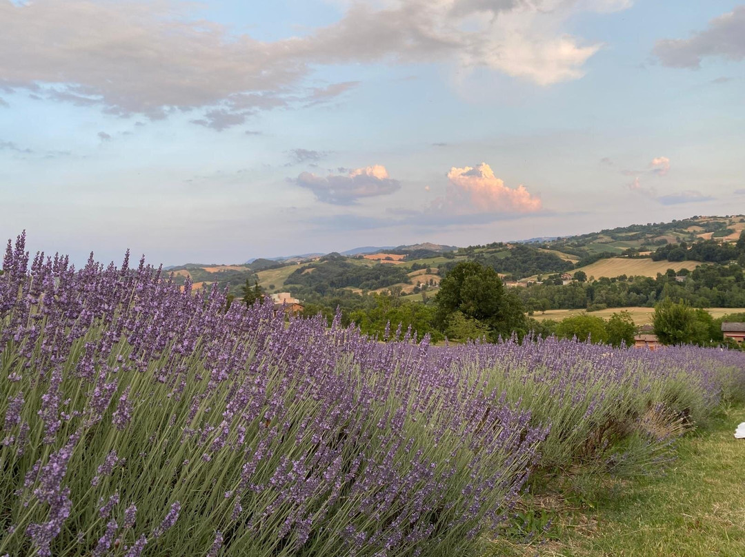 Azienda Agricola Valtresinaro-Viano必去景点