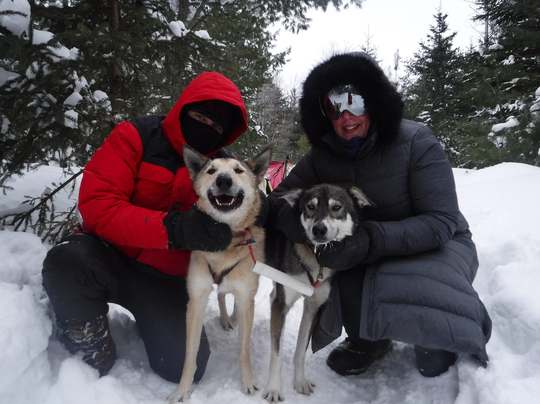 Nature's Kennel Sled Dog Adventures-McMillan必去景点