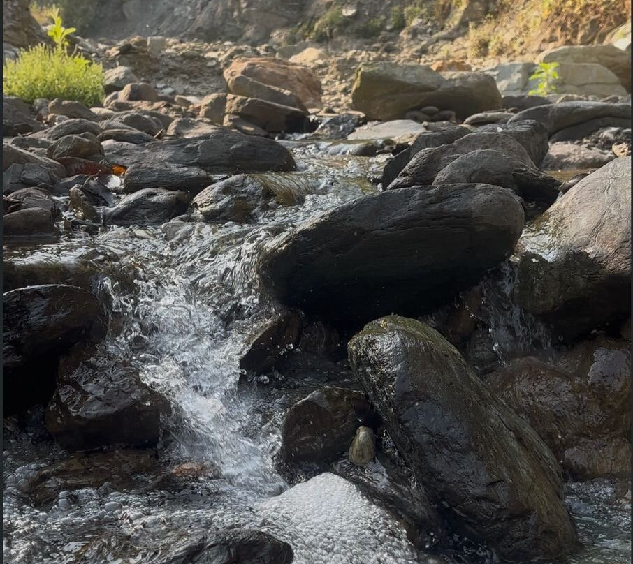 Aranyam River Retreat主图