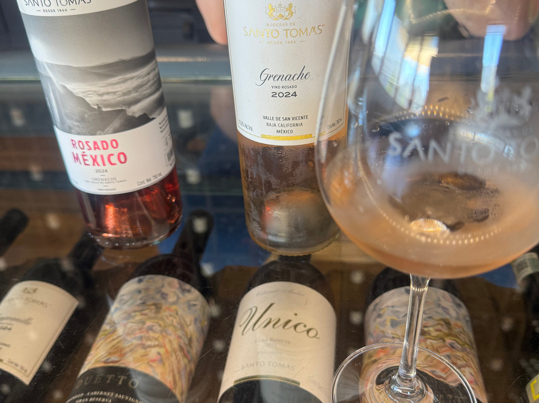 Bodegas De Santo Tomás-恩塞纳达必去景点