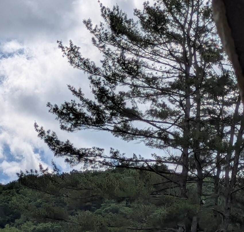 Ole Covered Wagon Tours-Wellsboro必去景点