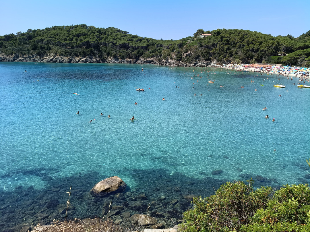 Spiaggia di Fetovaia-Campo nell'Elba必去景点