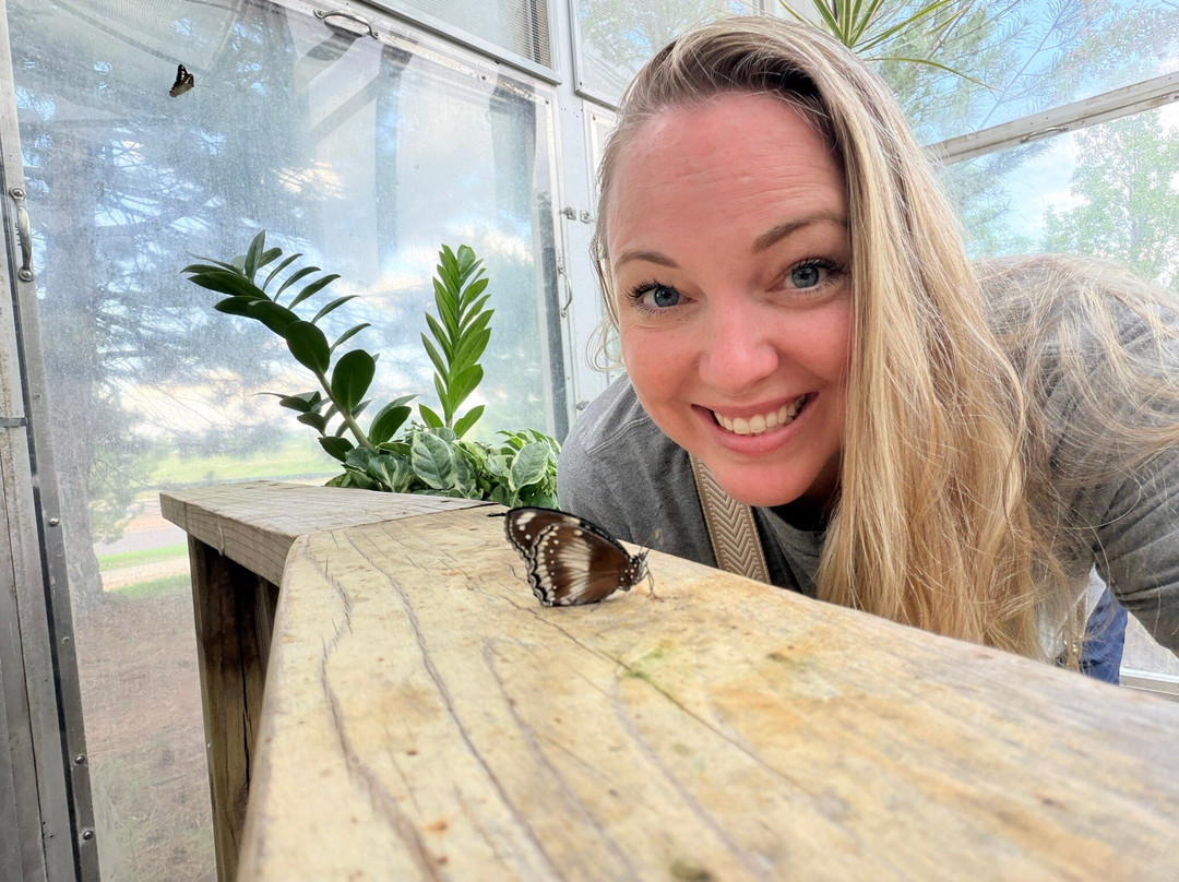 Butterfly Pavilion-威斯敏斯特必去景点