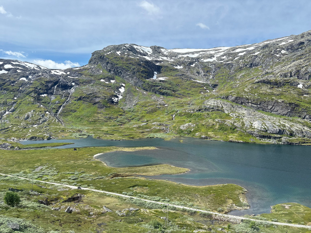 The Bergen Railway-奥斯陆必去景点