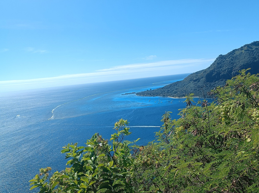 Top Jet & Quad Moorea-Temae必去景点