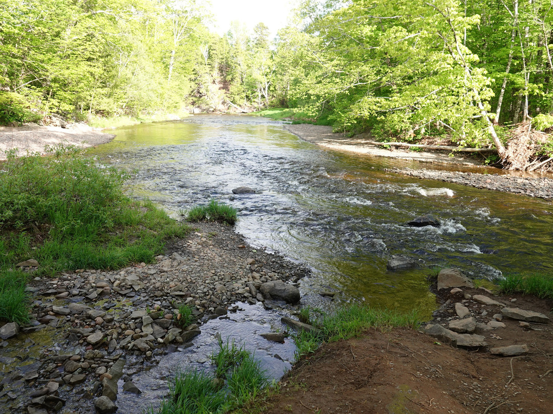 Salt Springs Provincial Park-Pictou必去景点