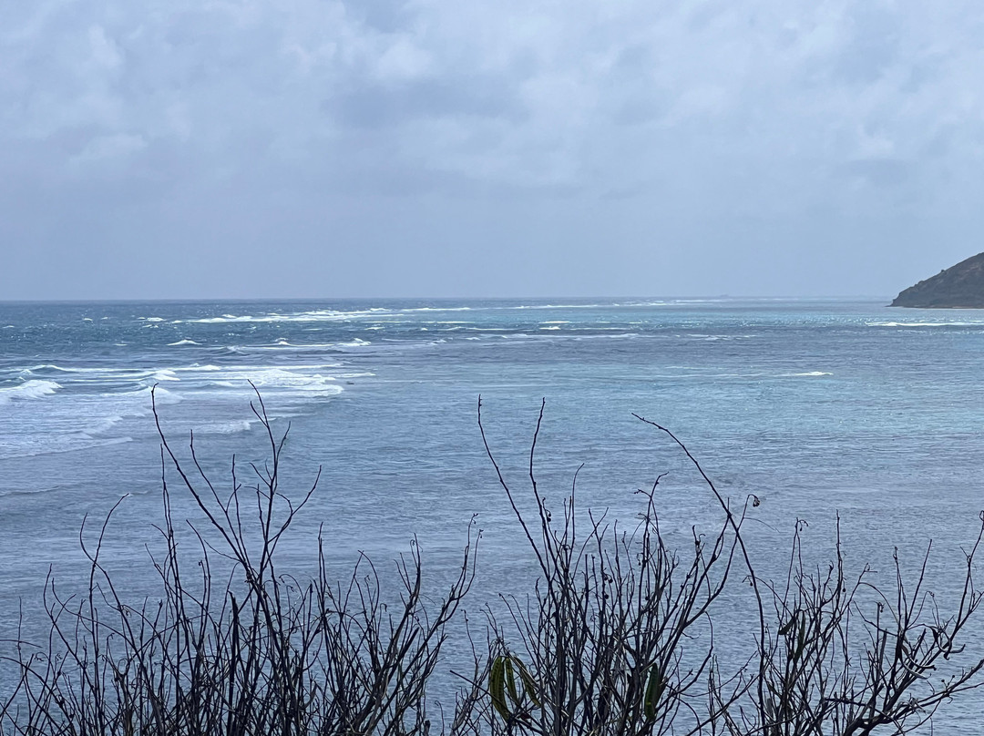 Shoy Beach-圣克鲁斯必去景点