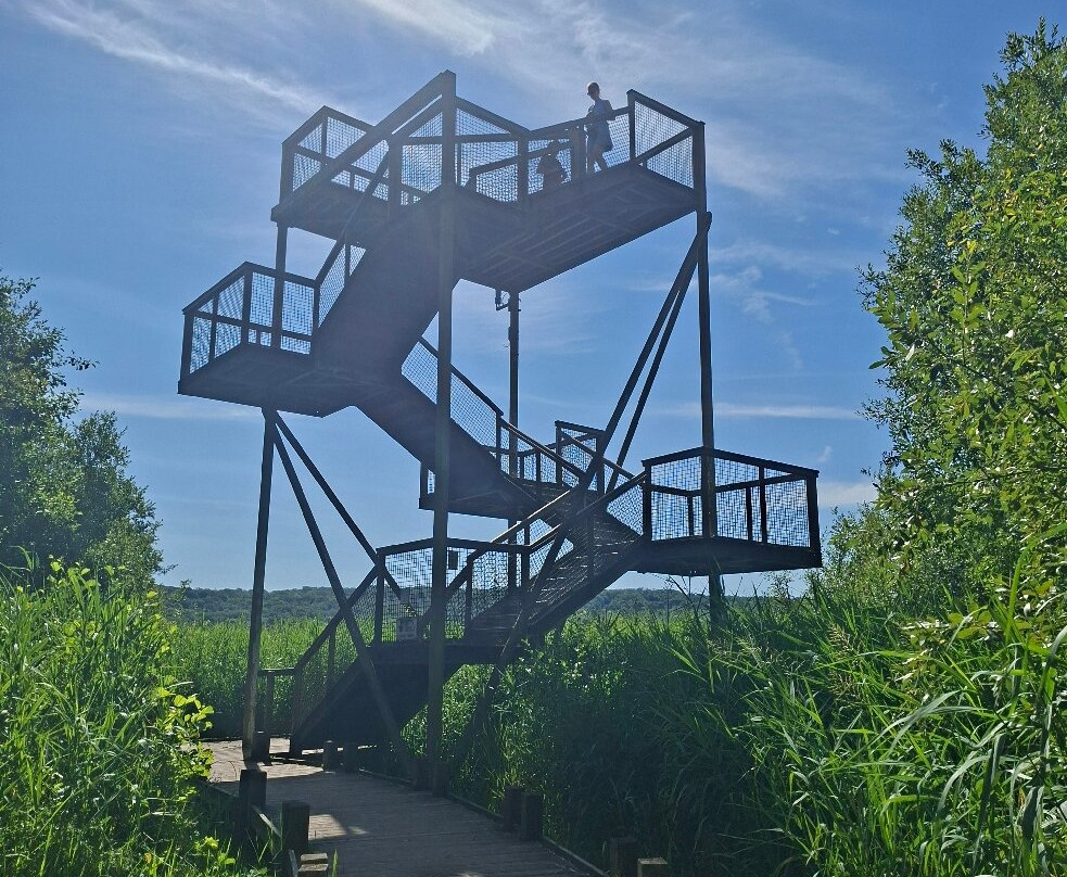 RSPB Leighton Moss Nature Reserve-Silverdale必去景点