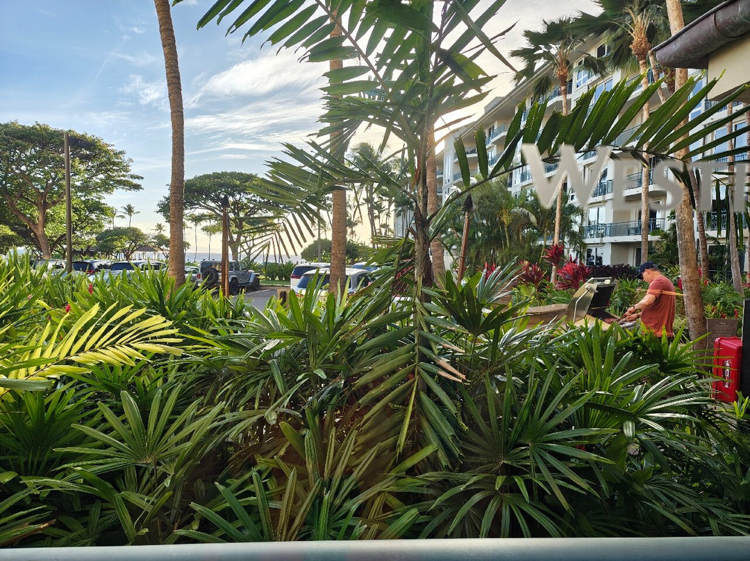 The Westin Ka'Anapali Ocean Resort Villas主图